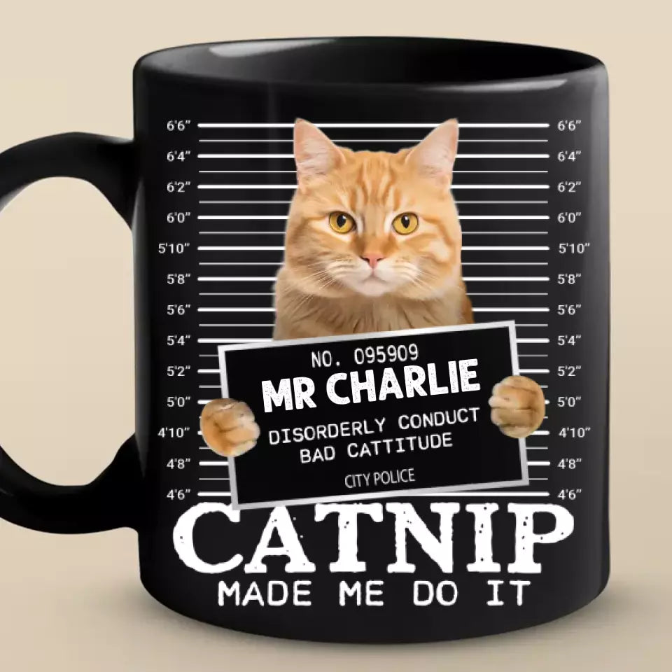 Custom Photo Furry Roommate, Furever Friend - Cat Personalized Custom Black Mug - Gift For Pet Owners, Pet Lovers