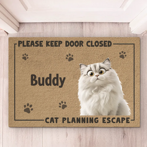 Door Closed, Cat Mischief Paused - Cat Personalized Custom Home Decor Decorative Mat - House Warming Gift For Pet Owners, Pet Lovers