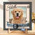 DCR-TV0531_thumb-1