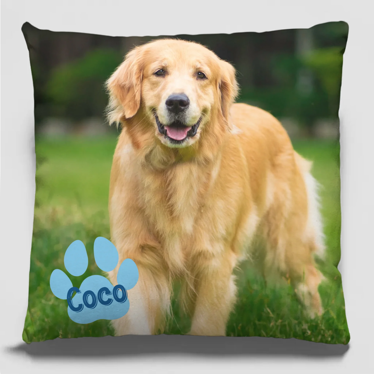 Custom Photo All You Need Is Love And A Pet - Dog & Cat Personalized Custom Pillow - Gift For Pet Owners, Pet Lovers